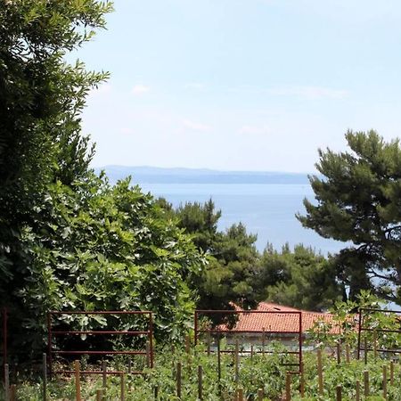 Apartman Buki **** Split Zewnętrze zdjęcie
