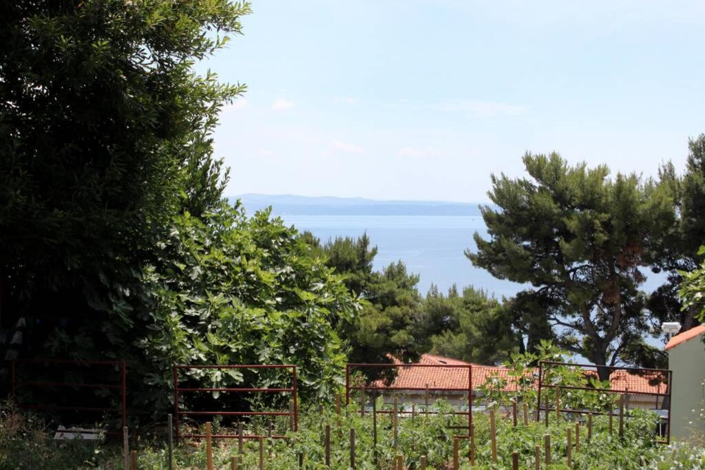 Apartman Buki **** Split Zewnętrze zdjęcie