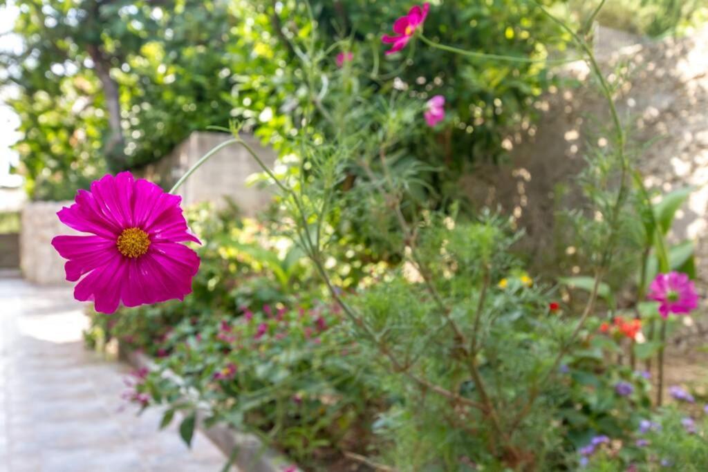Apartman Buki **** Split Zewnętrze zdjęcie